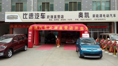 临安市奥凯电动车商行